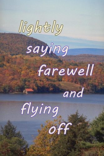 lightly-saying-farewell-and-flying-off