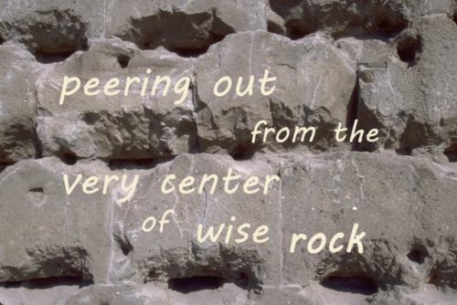 peering-out-from-the-very-center-of-wise-rock