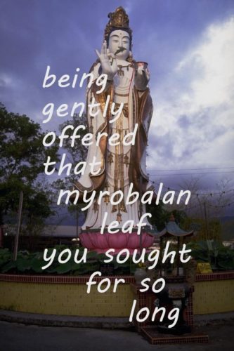 being-gently-offered-the-myrobalan-leaf-you-sought-for-so-long