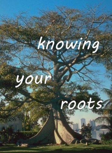 knowing-your-roots