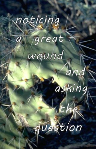 noticing-a-great-wound-and-asking-the-question