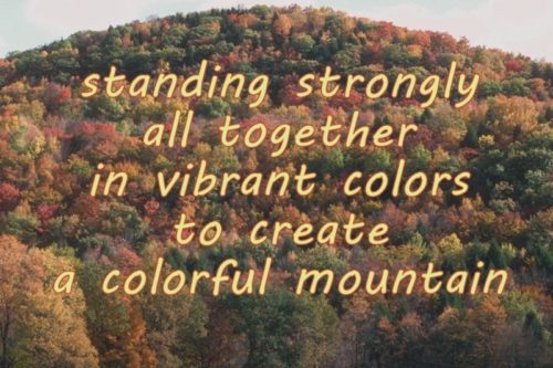 standing-strongly-all-together-in-vibrant-colors-to-create-a-colorful-mountain