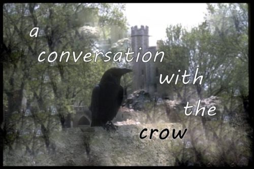 a-conversation-with-a-crow