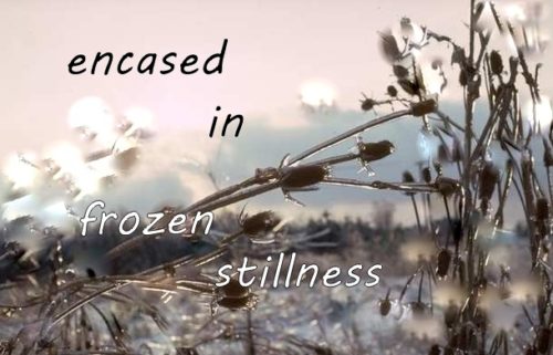 encased-in-frozen-stillness