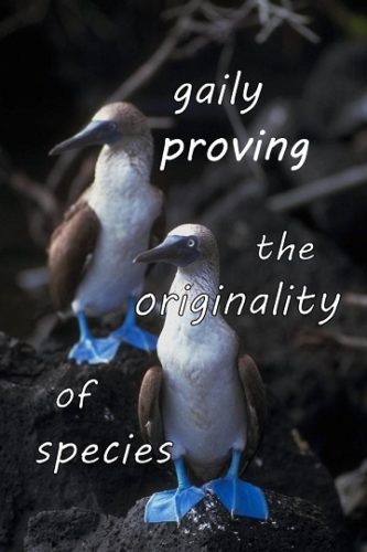 gaily-proving-the-originality-of-species