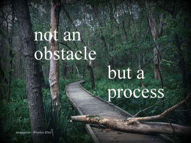 not an obstacle but a process | Winslow Eliot | Author Metaphysician ...