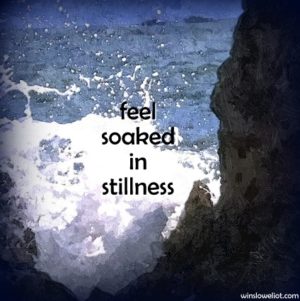 Stillness 5-30