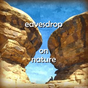 Eavesdrop on nature