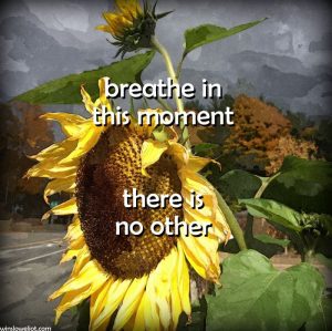 Breathe in this moment