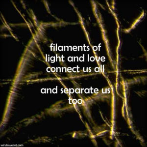 Filaments of light connect us all