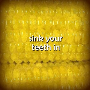 Sink your teeth in