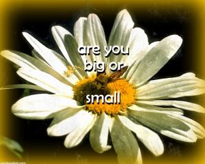 Are you big or small?