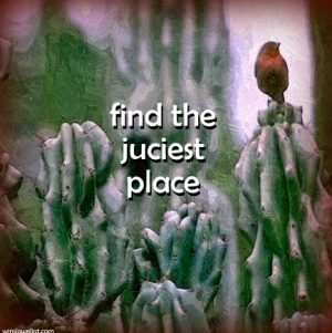 Find the juiciest place