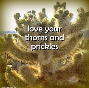 Love your thorns and prickles