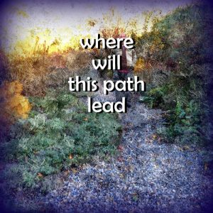 Where will this path lead?