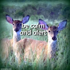 Be calm and alert