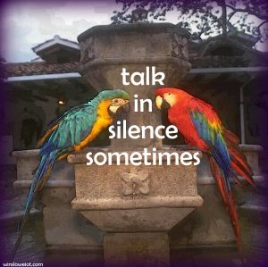 Talk in silence sometimes