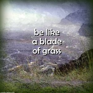 Be like a blade of grass