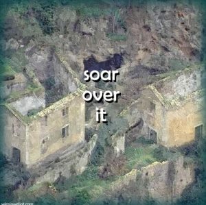 Soar over it