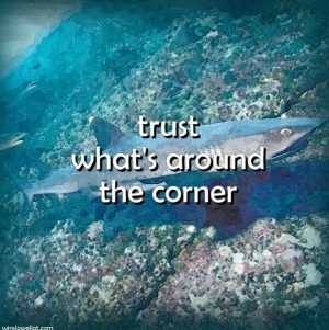 Trust what’s around the corner