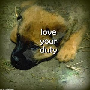 Love your duty