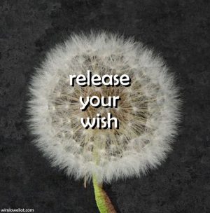 Release your wish