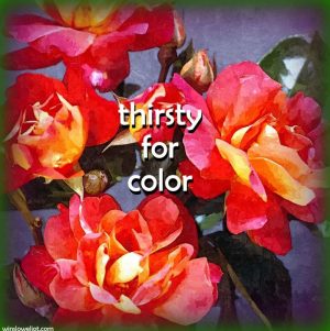 Thirsty for color