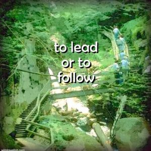 To lead or to follow