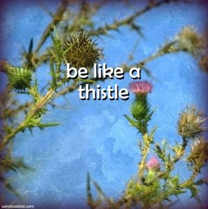 Be like a thistle