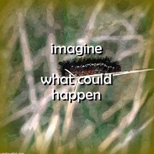 Imagine what could happen