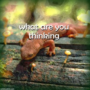 What are you thinking?