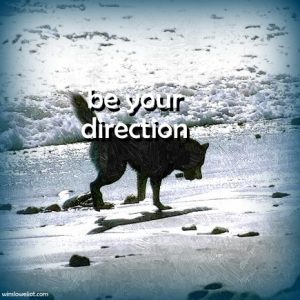 Be your direction