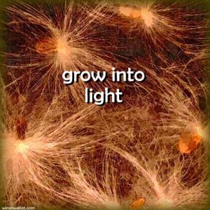 Grow into light