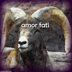 Amor Fati