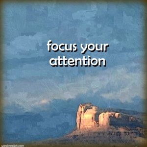 Focus your attention