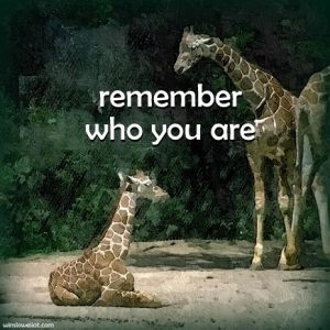 Remember who you are