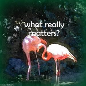 What really matters?