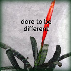 Dare to be different