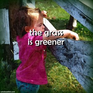 The grass is greener