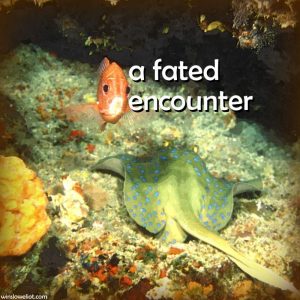 A fated encounter