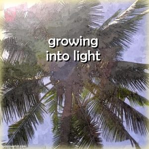 Growing into light