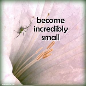 Become incredibly small