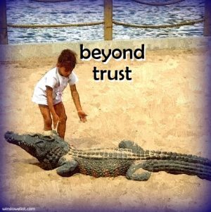 Beyond trust