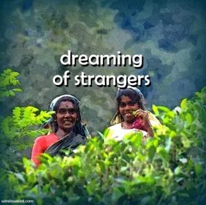 Dreaming about strangers