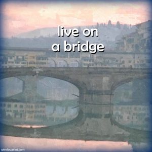 Live on a bridge