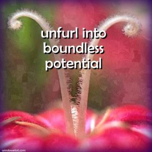 Unfurl into boundless potential