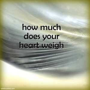 How much does your heart weigh?