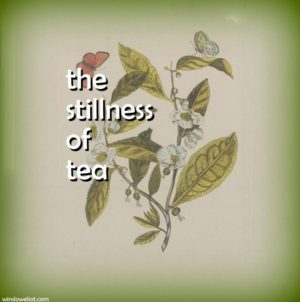 The stillness of tea