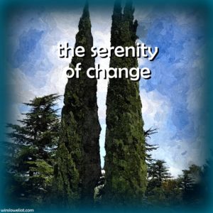 Feel the serenity of change